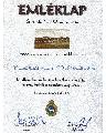 2006-ban az rvzvdelemben val rszvtelrt Szentendre vrostl kapott emlklap